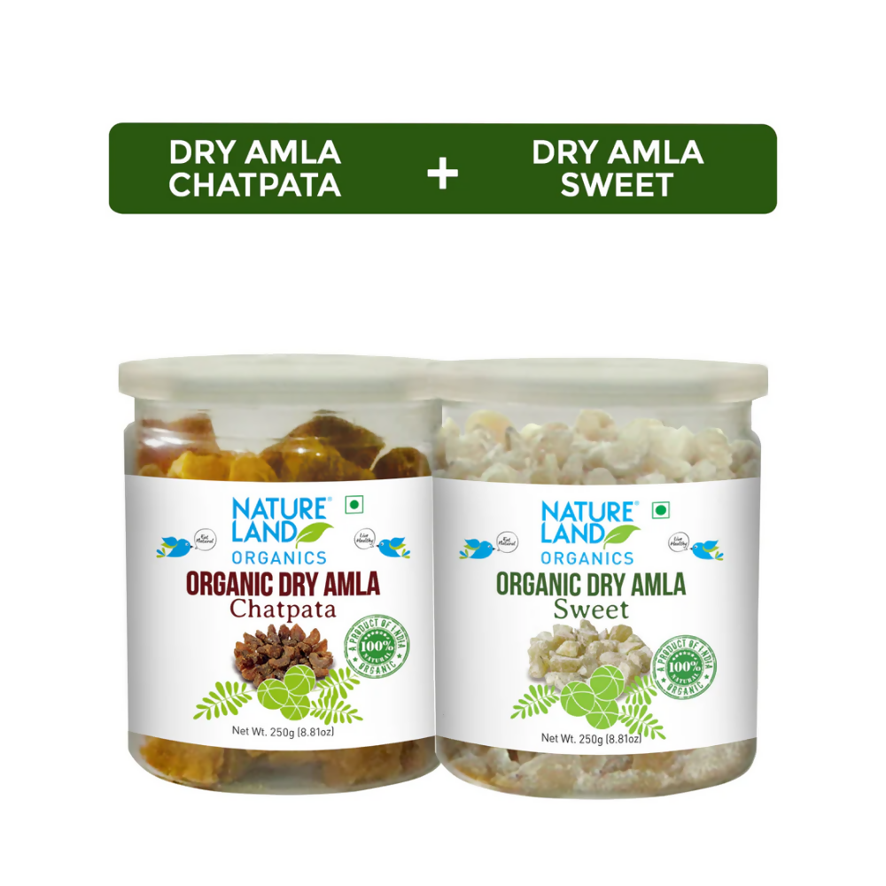 Nature Land Organics Dry Amla Chatpata+Dry Amla Sweet | Grocsy