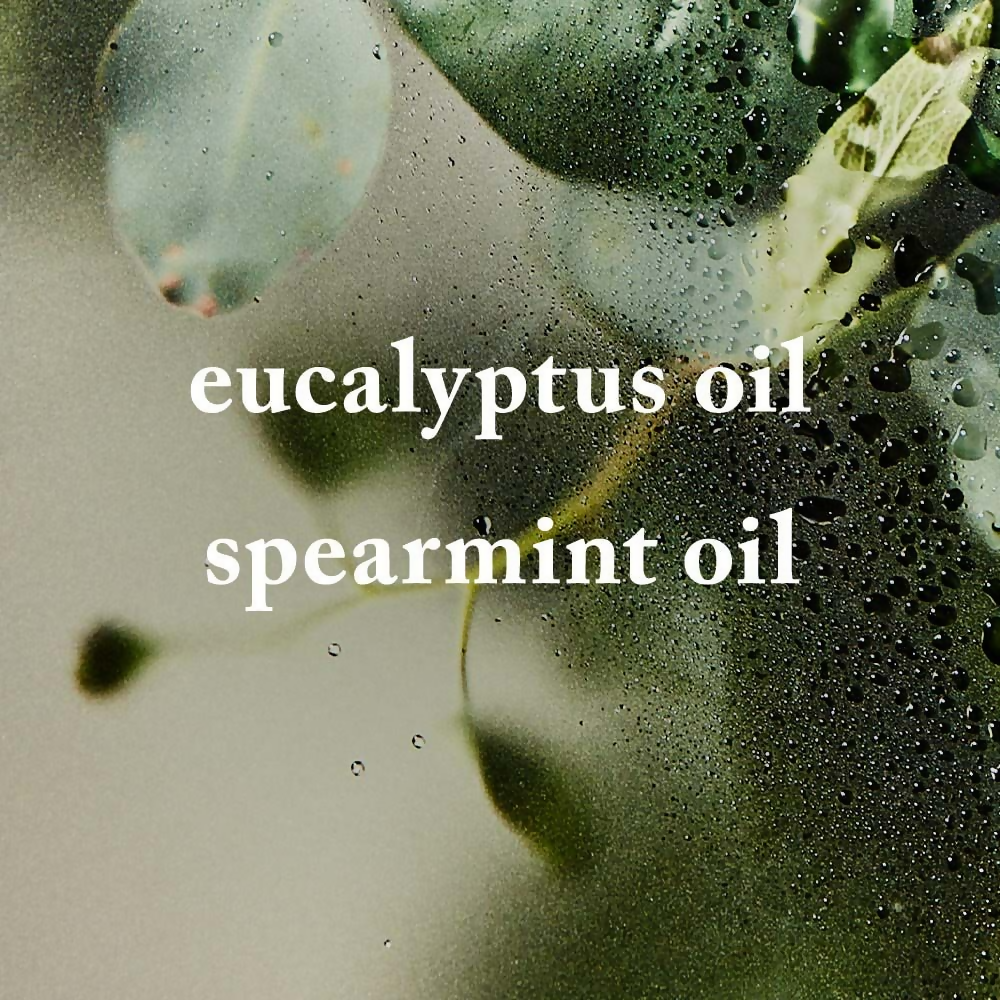 Bath & Body Works Eucalyptus + Spearmint Gentle & Clean Foaming Hand Soap | Grocsy