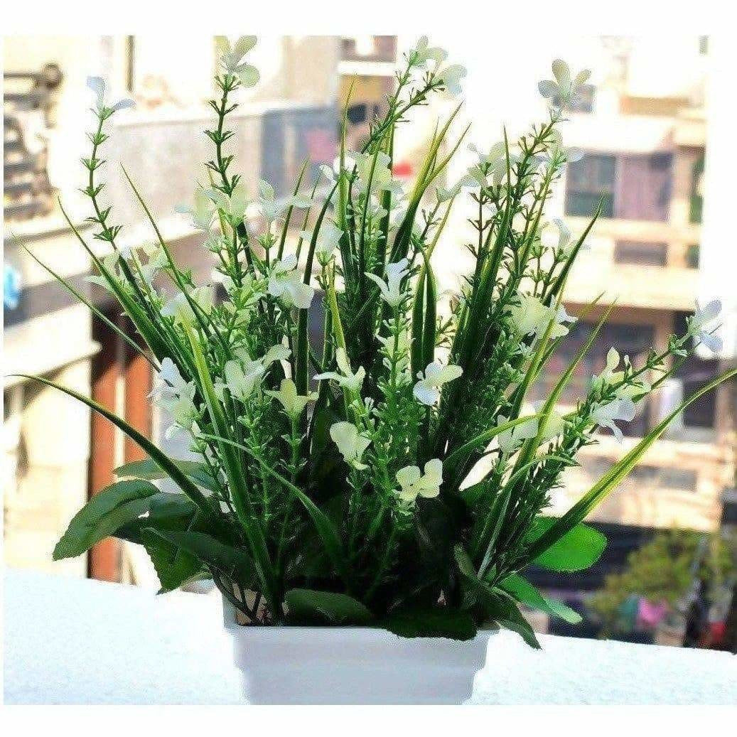 Chahat Decorative Artificial plant for home & office | Grocsy