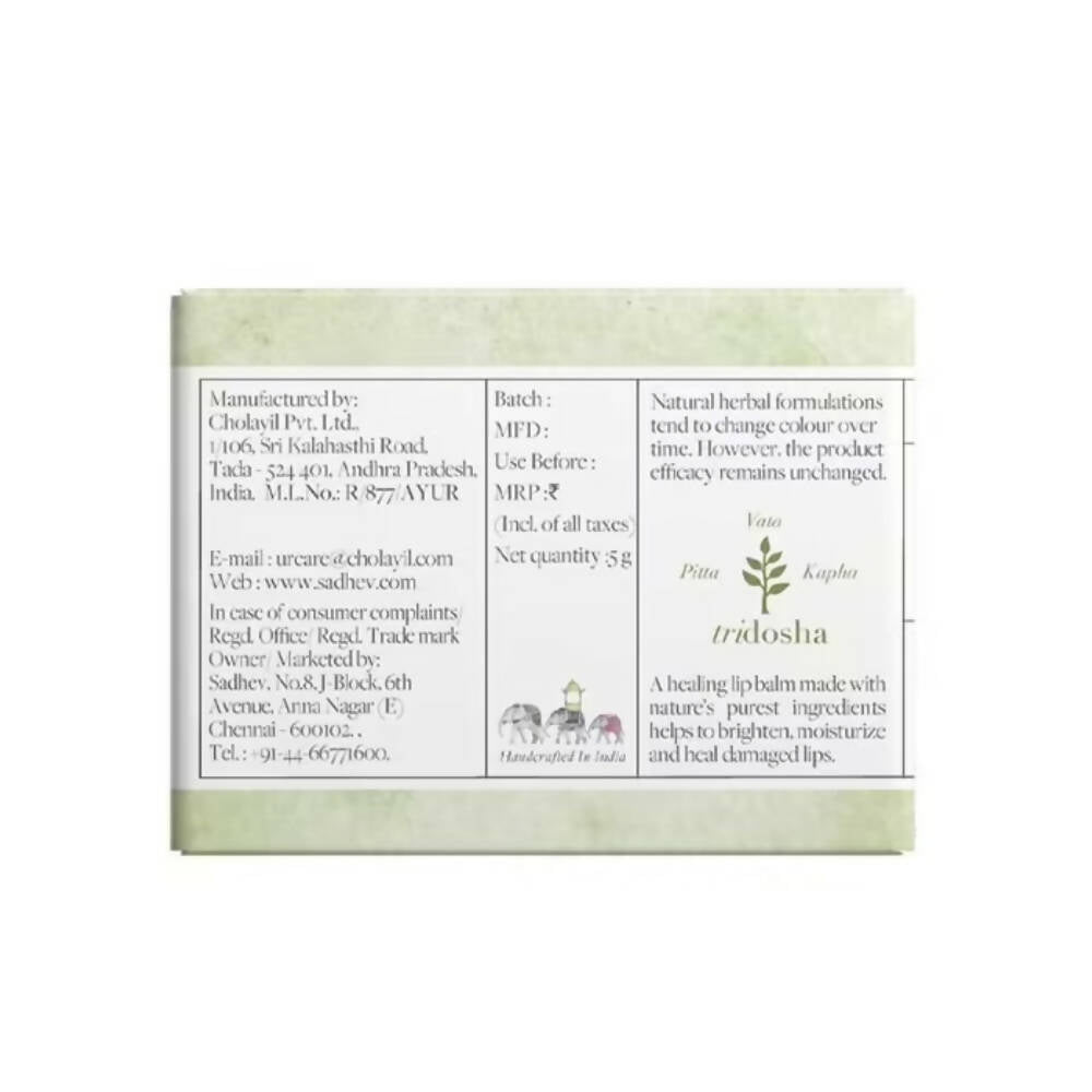 Sadhev Ayurvedic Natural Lip Balm-Beetroot & Coconut | Grocsy