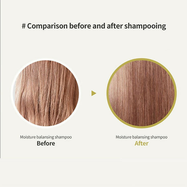 La'dor Moisture Balancing Shampoo | Grocsy