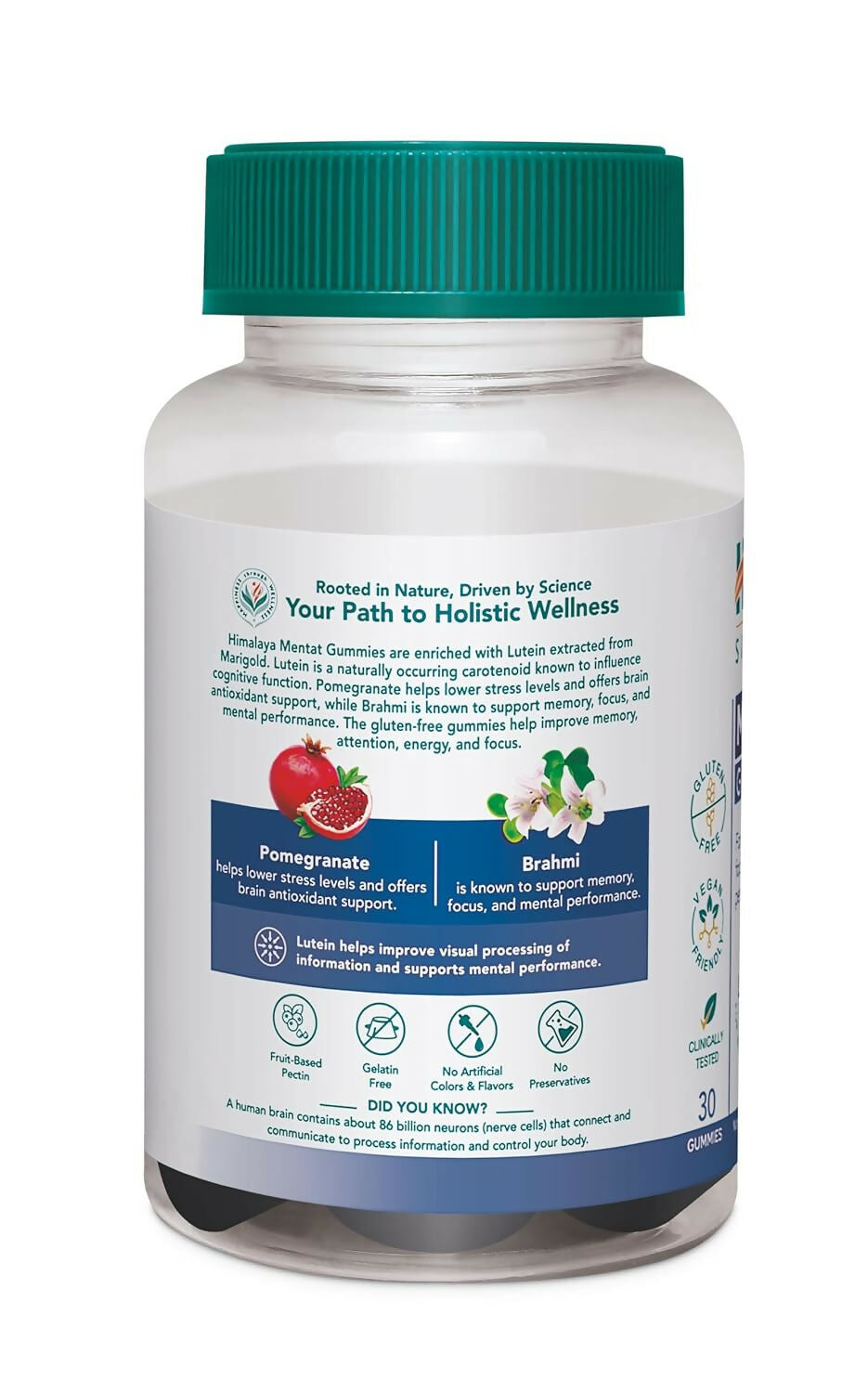 Himalaya Herbals Mentat Gummies | Grocsy