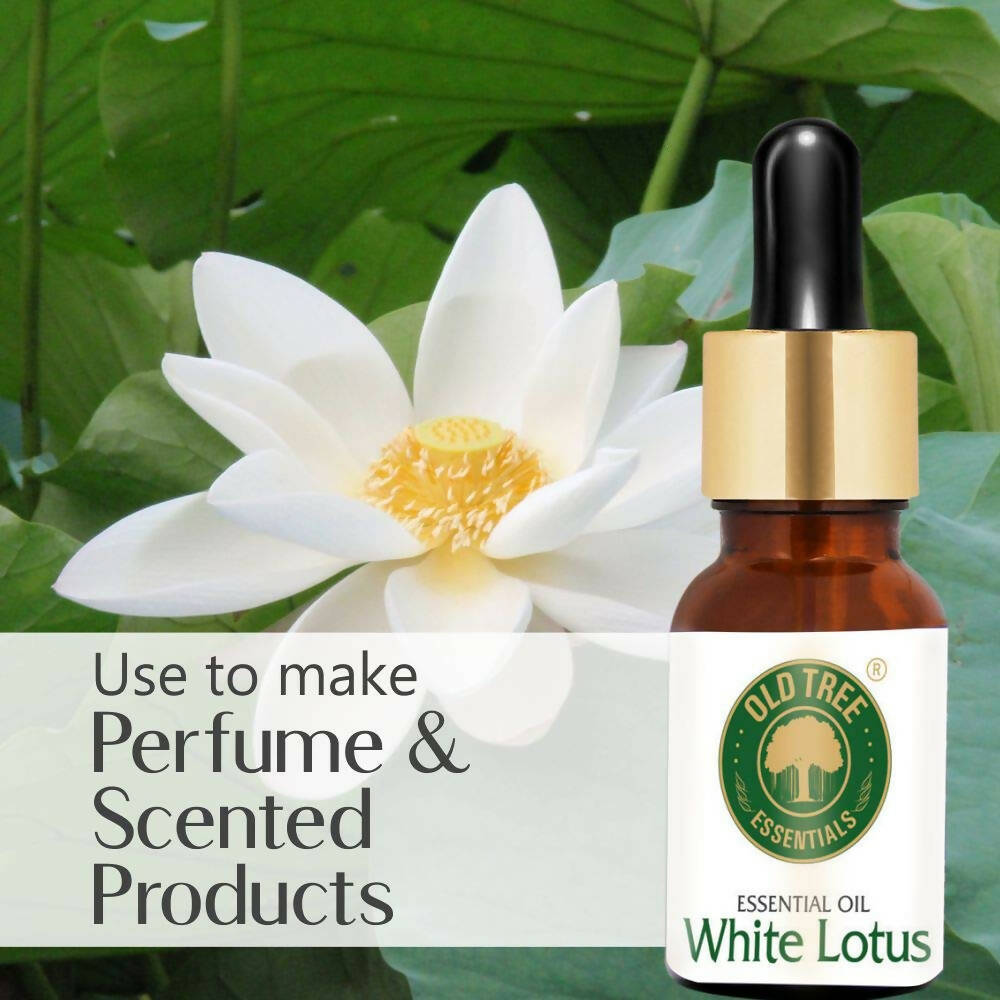 Old Tree White Lotus Essential Oil | Grocsy