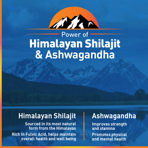 Zandu Vigorex SJ Ashwagandha Capsules | Grocsy