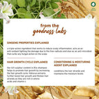 Plum Ginseng Gentle Rinse Shampoo | Grocsy