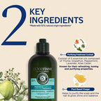 L'Occitane Purifying Freshness Conditioner | Grocsy