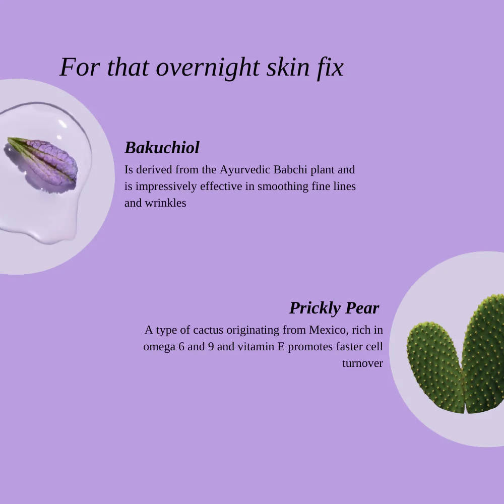 Botnal Forty Winks Night Cream | Grocsy