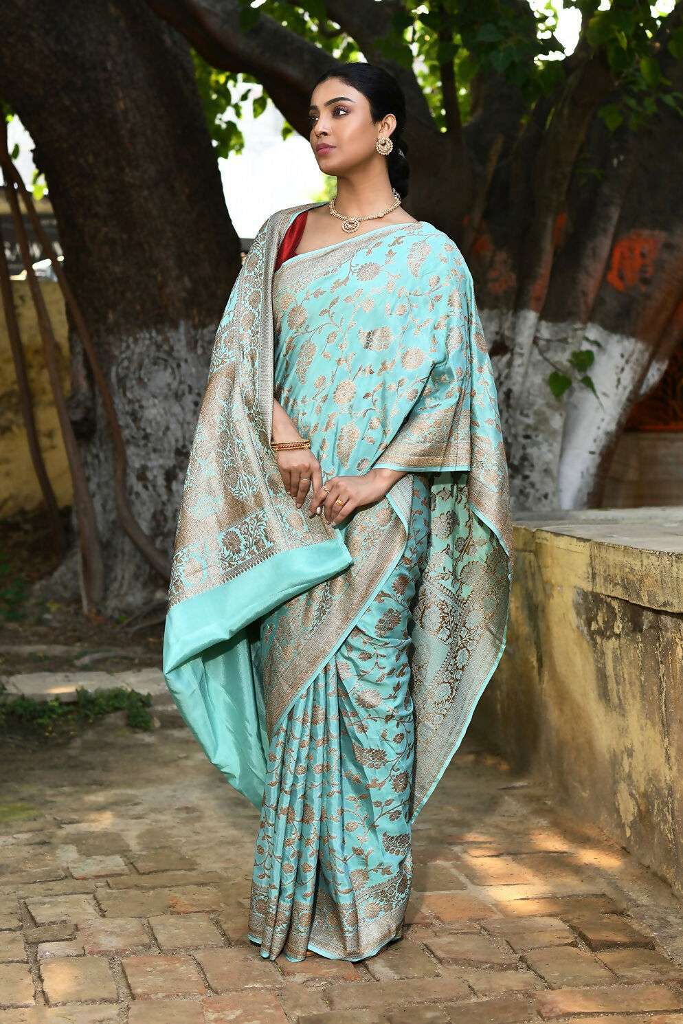 Joban Fashion Aqua Crepe Chiffon Pure Handloom Banarasi Silk Saree | Grocsy