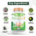 Divya Shree Kidney Detox Capsules | Grocsy