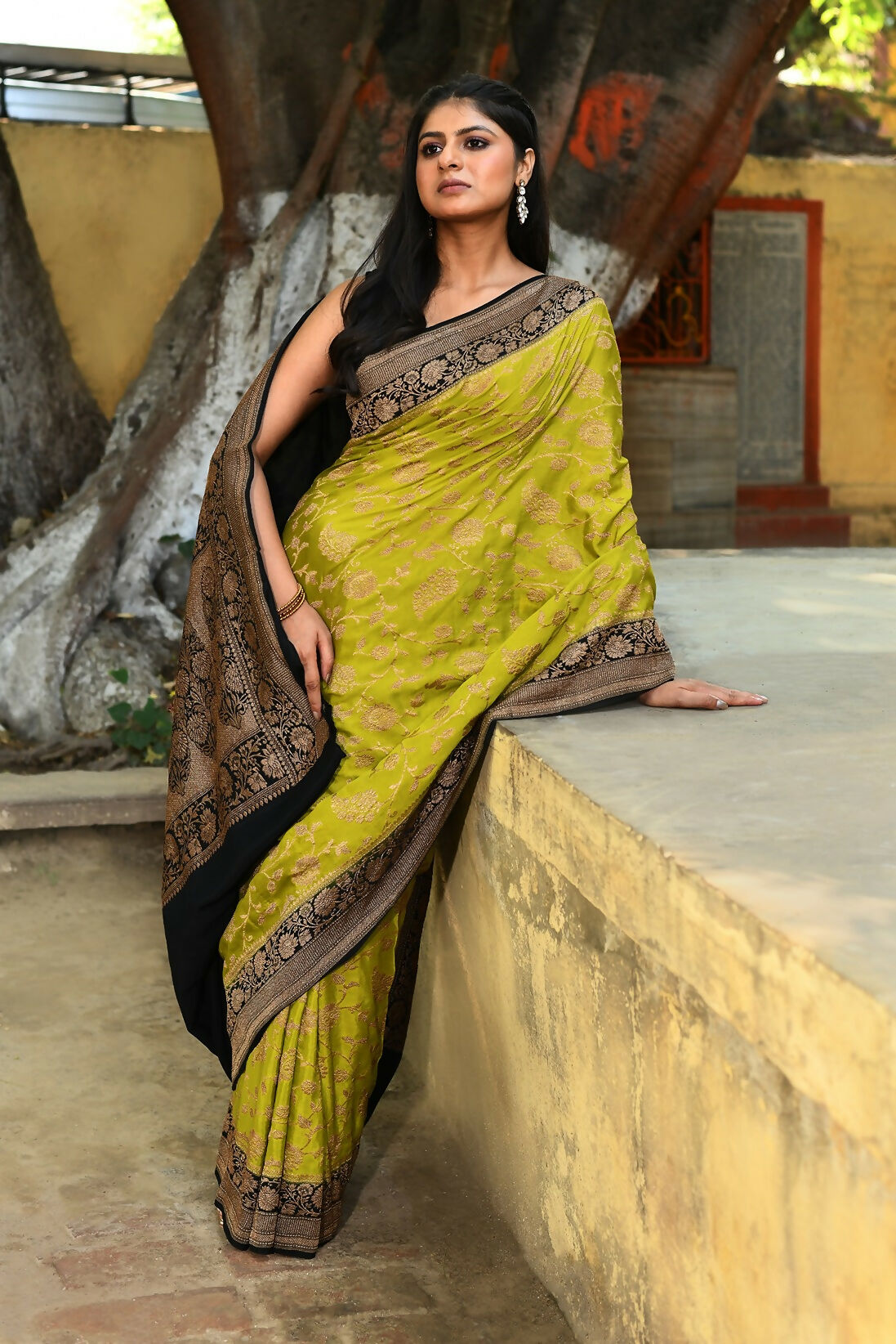 Joban Fashion Green Crepe Chiffon Pure Handloom Banarasi Silk Saree | Grocsy