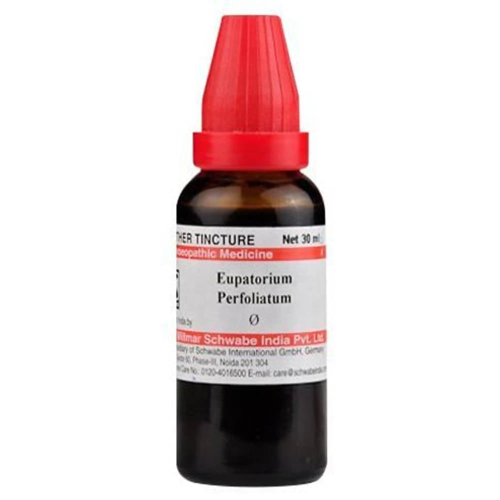 Dr. Willmar Schwabe India Eupatorium Perfoliatum Mother Tincture Q | Grocsy
