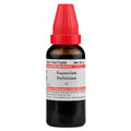 Dr. Willmar Schwabe India Eupatorium Perfoliatum Mother Tincture Q | Grocsy
