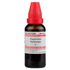 Dr. Willmar Schwabe India Eupatorium Perfoliatum Mother Tincture Q | Grocsy
