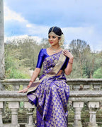 DEIANA'S Beautiful Designer Golden zari Soft Lichi Silk Saree - Blue | Grocsy