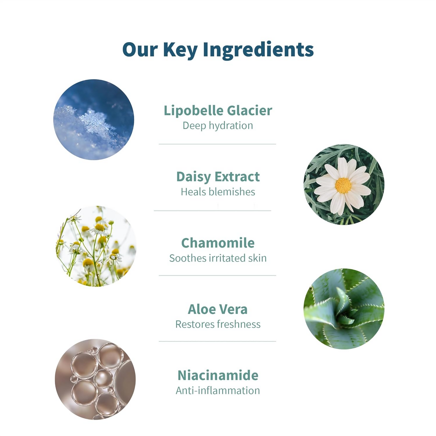 Meola Swiss Glacier Face Cleanser | Grocsy