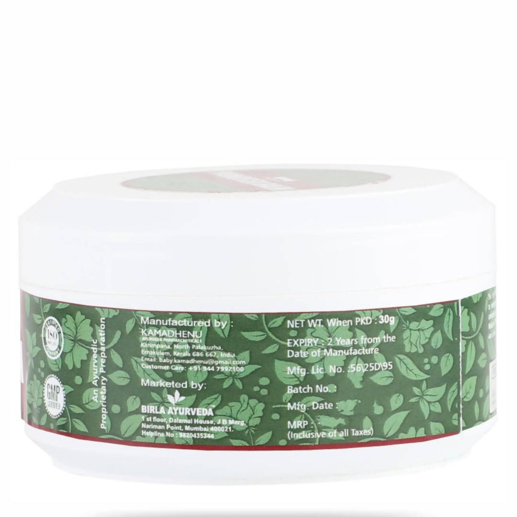 Birla Ayurveda Painoflex Balm | Grocsy