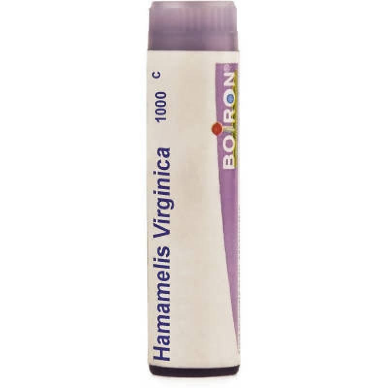 Boiron Homeopathy Hamamelis Virginica | Grocsy
