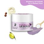Pilgrim Spanish Lip Scrub (Blueberry) For Dark Lips, Gentle Exfoliation, Hydrated, Smooth & Soft Lips | Grocsy