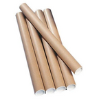 Walltech Combo of 4 Wall Sticker | Grocsy