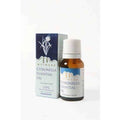 Mesmara Citronella Essential Oil | Grocsy
