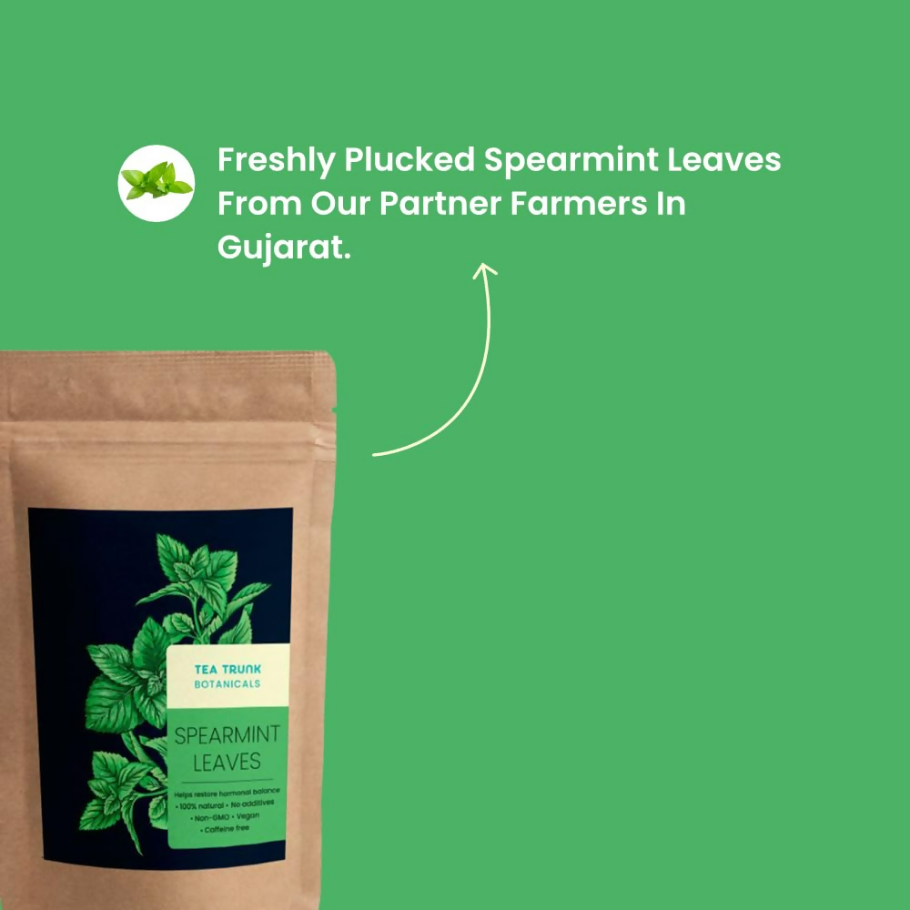 Tea Trunk Spearmint Leaves Natural Calming Tea | Grocsy