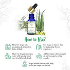 The Beauty Co. Eucalyptus Essential Oil | Grocsy
