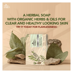 Herbs & Hills Tea Tree Germ Protection Soap | Grocsy