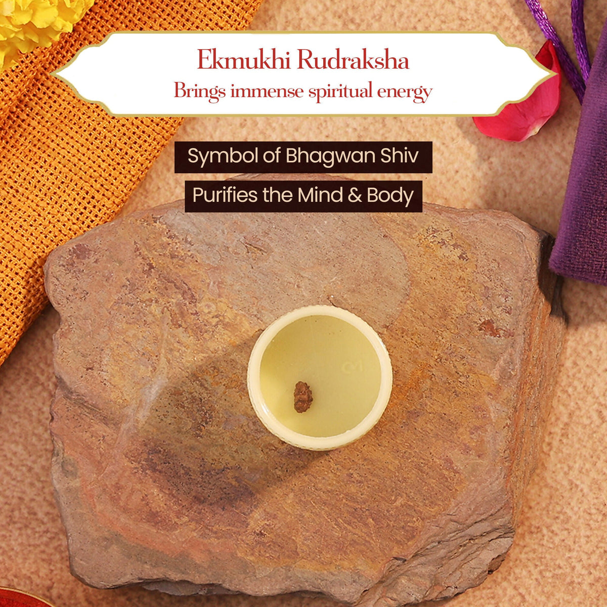 Pujashree Ek Mukhi Rudraksh – Sacred One Mukhi Rudraksha for Lord Shiva Blessings, Peace & Spiritual Growth | Grocsy