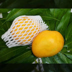 Banginapalli Mangoes / Benishan / Chappatai / Safeda / Badam Aam | Grocsy