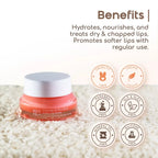 Beyond Rice Capuacu & Rice Bran Kissu Lip Mask | Grocsy