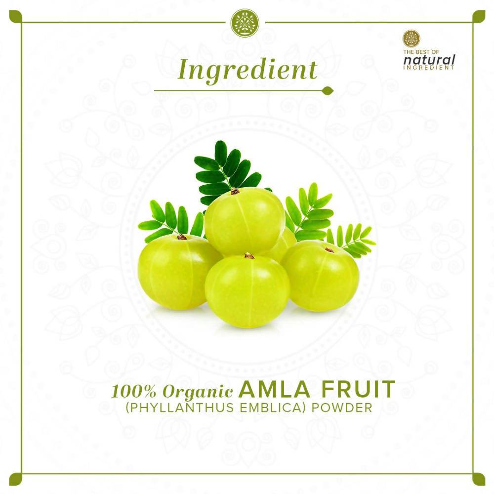 Khadi Natural Organic Amla Fruit Powder | Grocsy