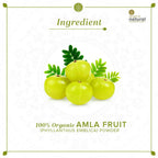 Khadi Natural Organic Amla Fruit Powder | Grocsy
