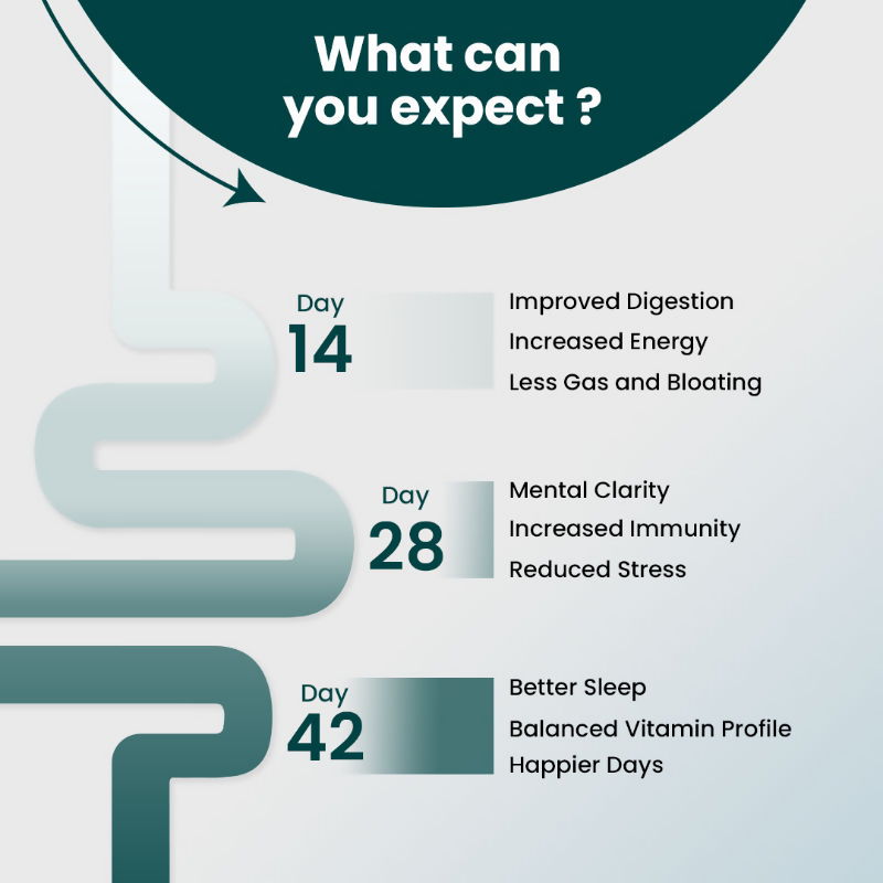 Supply6 360 Daily Health Supplement 63+ Nutrient, Multivitamin, 3B CFU Probiotic & Superfood | Grocsy
