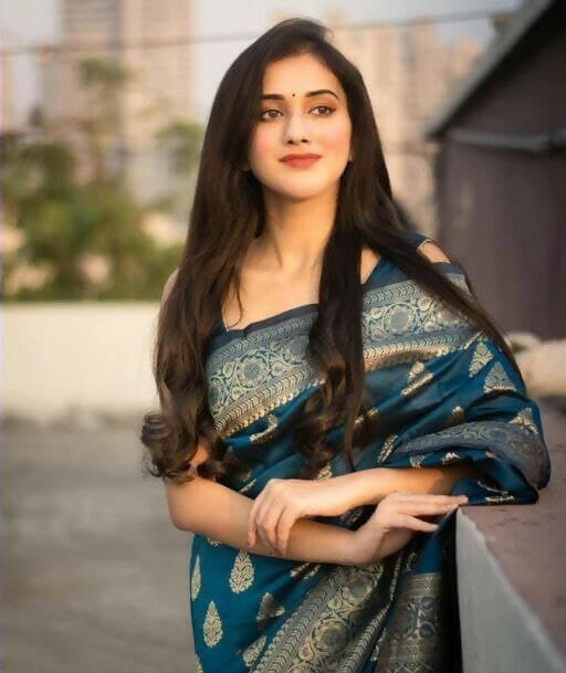 DEIANA'S Beautiful Designer Golden zari Soft Lichi Silk Saree - Navy Blue | Grocsy