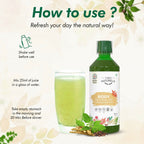 Farm Naturelle Body Revitalizer Juice - Ayurvedic Formula for Energy and Vitality | Grocsy