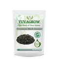 Yuvagrow Premium Black Raisins | Grocsy
