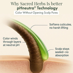 Sacred Herbs Ammonia & PPd Free Natural Organic Gel Dark Brown Hair Color For Men & Women | Grocsy