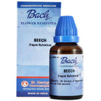 St. George's Bach Flower Remedies Beech (Fagus sylvatica) Dilution | Grocsy
