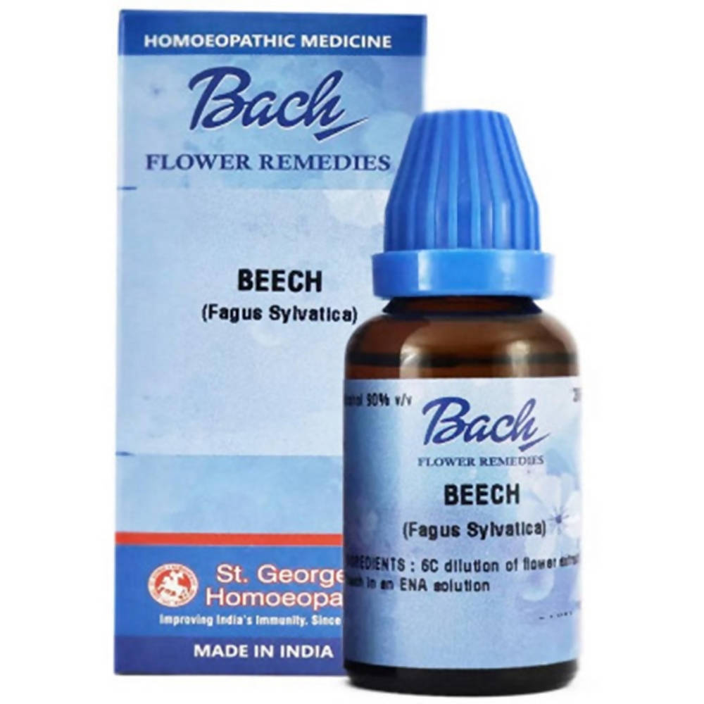 St. George's Bach Flower Remedies Beech (Fagus sylvatica) Dilution | Grocsy