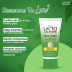 Lacto Calamine Facewash With Neem, Aloe Vera & Turmeric | Grocsy