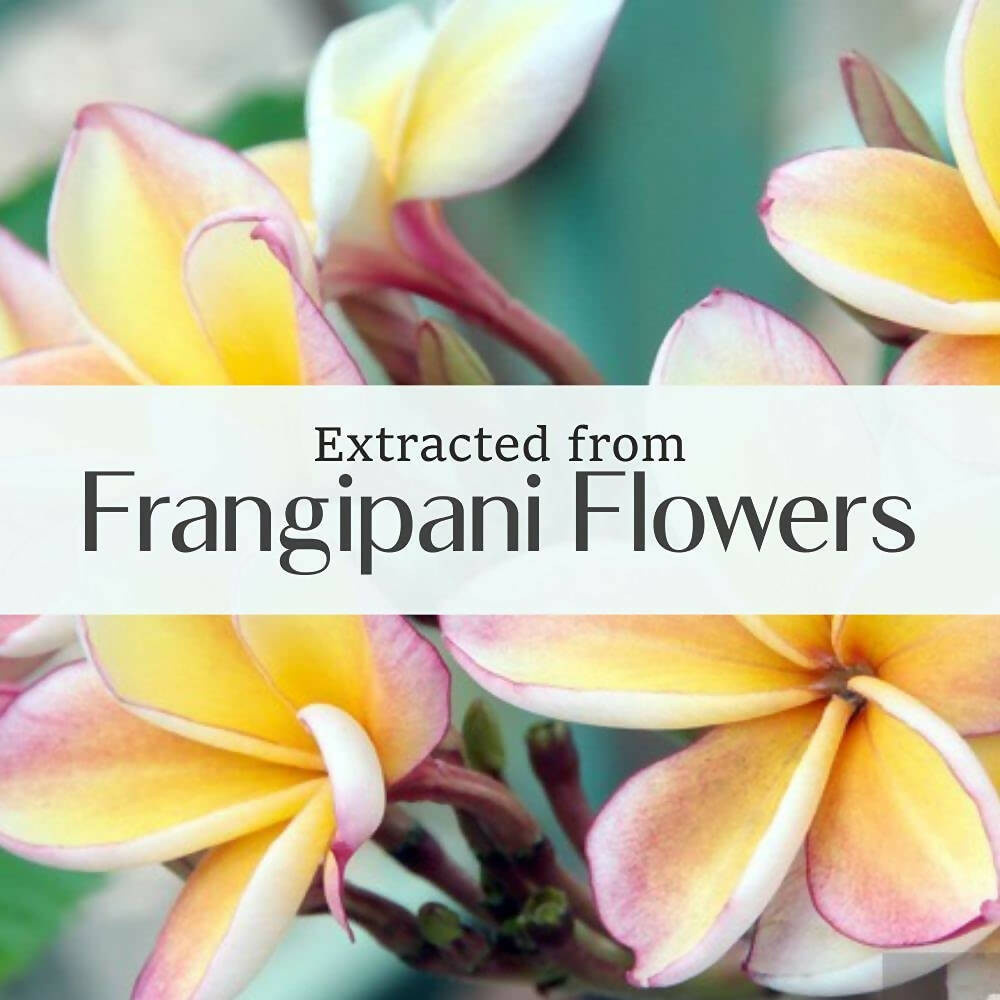 Old Tree Frangipani Essential Oil | Grocsy