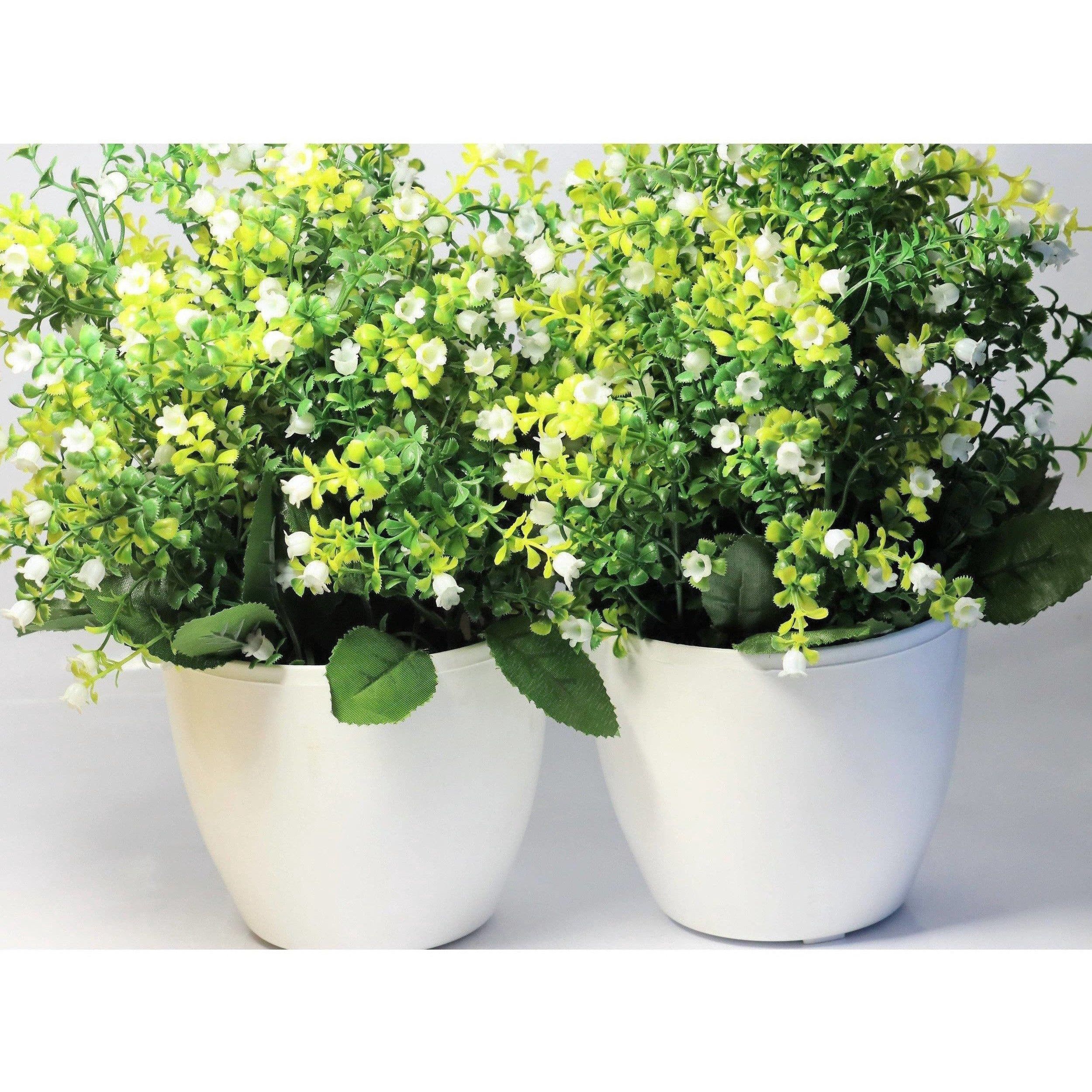 Chahat Decorative Artificial Flower Plant 2 Piece Combo | Grocsy