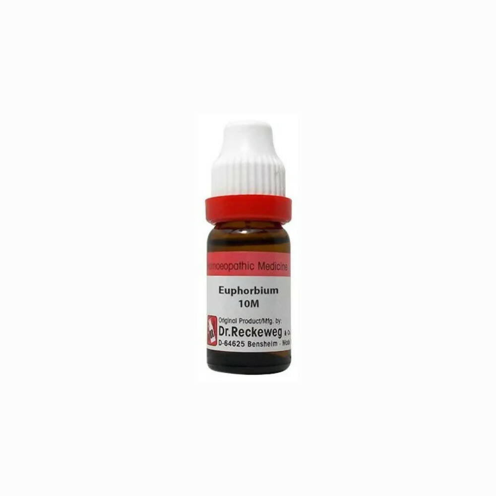 Dr. Reckeweg Euphorbium Dilution | Grocsy