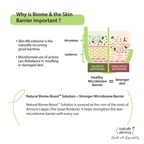 Nature Derma Moisture Replenish Night Cream | Grocsy