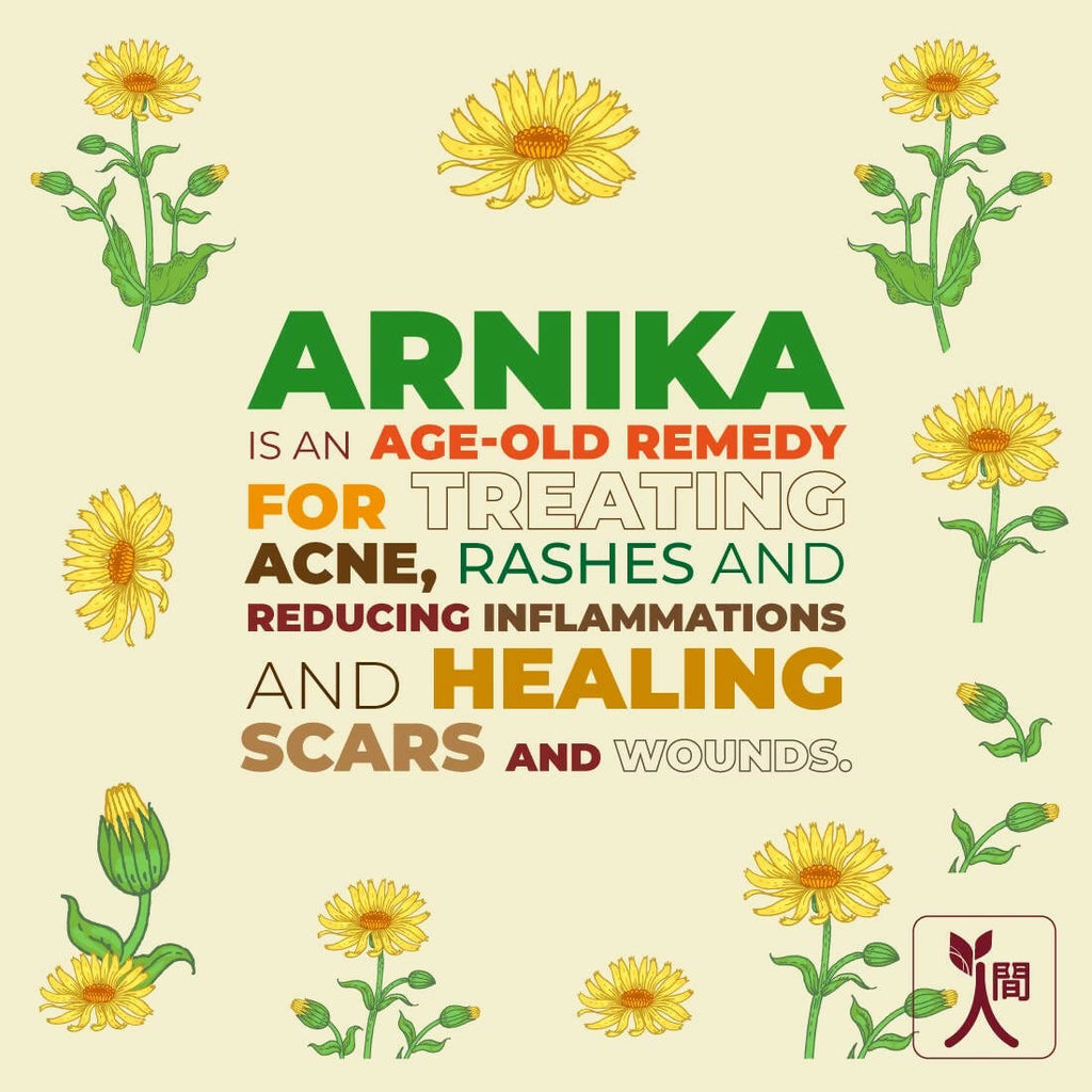 Ningen Arnica Hair Toner | Grocsy