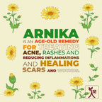 Ningen Arnica Hair Toner | Grocsy