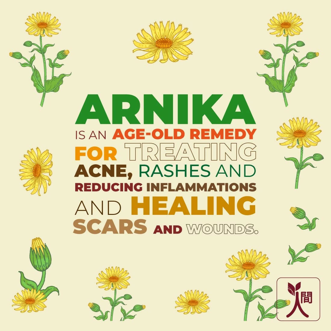 Ningen Arnica Hair Toner | Grocsy
