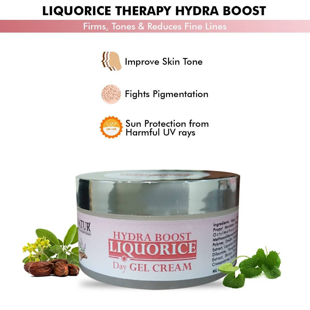 Inatur Hydra Boost Liquorice Day Gel Cream | Grocsy