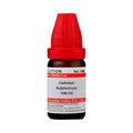 Dr. Willmar Schwabe India Cadmium Sulphuricum Dilution | Grocsy