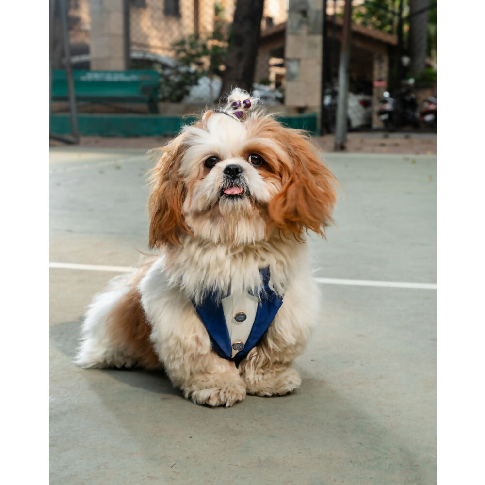 Waggety Tuxedo Dog Harness - Stylish Blue & White Design, Adjustable Fit, Durable Fabric, Elegant Pet Harness for Dogs | Grocsy